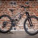 Scar Cycles HFS