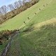 Gravel Club Trier  - SMGR241124