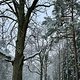 Winterpokal-Aktivität