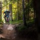 Egal, ob ruppiger Enduro-Trail oder wilde Bikepark-Abfahrt …