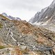 IMG 4350