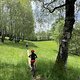 IMG 8575