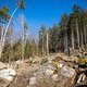 20250316-10 Wesenitzrunde