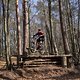 Bike Beerfelden P 259