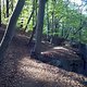 IMG971