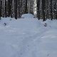 DSC03370