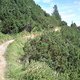 Trail3