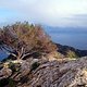 Ausblick Talaia d`Alcudia