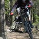 DSC00224
