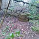 Brunnen im Wald