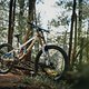 scott-sports-bike-2020-chasing-trail-dean-lucas-actionimage-by-jarryd sinclair-Scott x Dean Lucas by Jarryd Sinclair-14