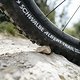 Schwalbe albert radial finale 18