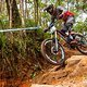 Greg Minnaar