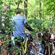 IMG 4847