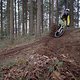 Woods...
