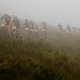 Nebel erwartet die Fahrer - Cape Epic 2014 Prolog - Foto von  Gary Perkin-Cape Epic-SPORTZPICS