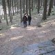 IMG 1000Large 1272301664
