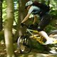 comp DSC01510a