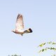 Urlaub Tierleben 6523