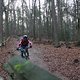 IMG 1223