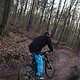 IMG 1531