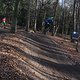 IMG 1874