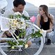 Critical Mass 1705 4038b