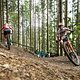 MTBNews