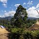 Brook Macdonald performs during  practice at Red Bull Hardline  in Maydena Bike Park,  Australia on February 21,  2024 // Graeme Murray / Red Bull Content Pool // SI202402210584 // Usage for editorial use only //