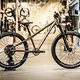 Starkes Einsteiger-Hardtail für Kids: Die Cube Reaction TM Modelle in 20&quot; und 24&quot;