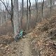IMG 1246