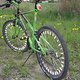Bianchi Ragno Pholcus 003
