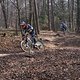 Bike Beerfelden P 256