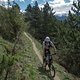 Bike 2013-028