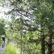 Schotter Trail am Gardasee (IT)