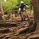 ixs cup bad wildbad