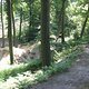IMG 6233