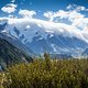 Mt. Cook und die umliegenden Gletscher