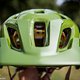 Bontrager 2016-34