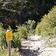 TransVerdon2016 (134)