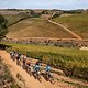 Riders during stage 5 of the 2019 Absa Cape Epic Mountain Bike stage race held from Oak Valley Estate in Elgin to the University of Stellenbosch Sports Fields in Stellenbosch, South Africa on the 22nd March 2019.

Photo by Sam Clark/Cape Epic

PL