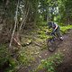 05L Chatel - Falco Trail