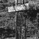 1980 Repac-sign-by hiawatharider