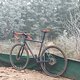 Frost Fahrt