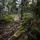 Hydra 2 - Alex Volokhov eMTB ebike pc @rileyseebeck 5