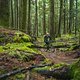 BC Squamish - 50 Shades of Green