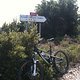 IMG 0356
