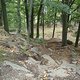 DSC00438