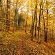Herbst2K10Bild118