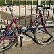 Trek 8700 Carbon mit Alu Muffen Bild 4